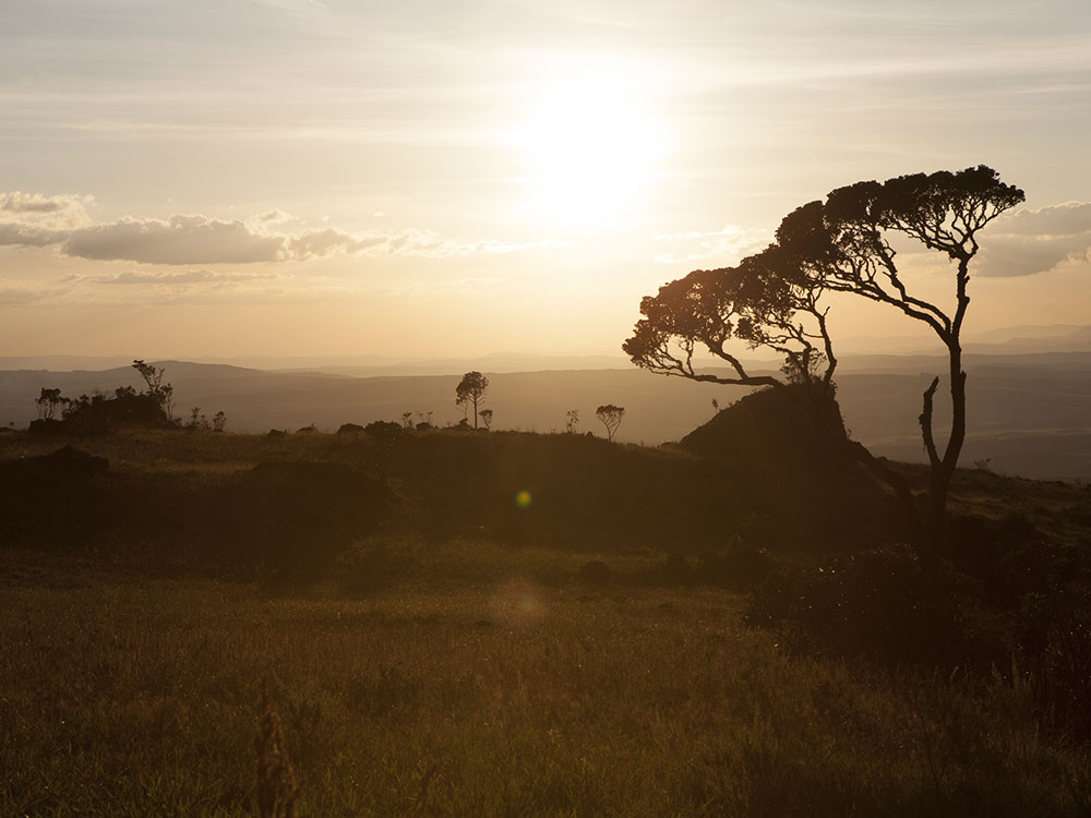 Gran Sabana